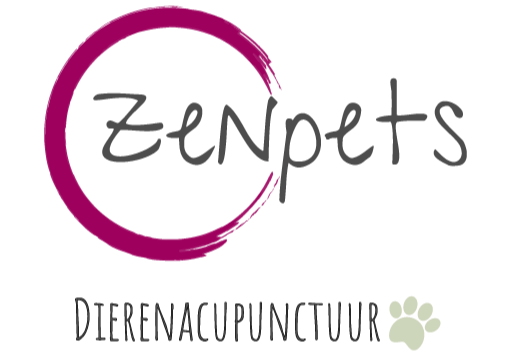 Zenpets, dierenarts sinds 2007. Behandeling kleine huisdieren met acupunctuur.